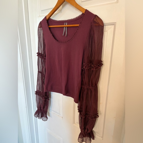 Anthropologie Long-Sleeve Victorian Ruffled Top small - Picture 7 of 8